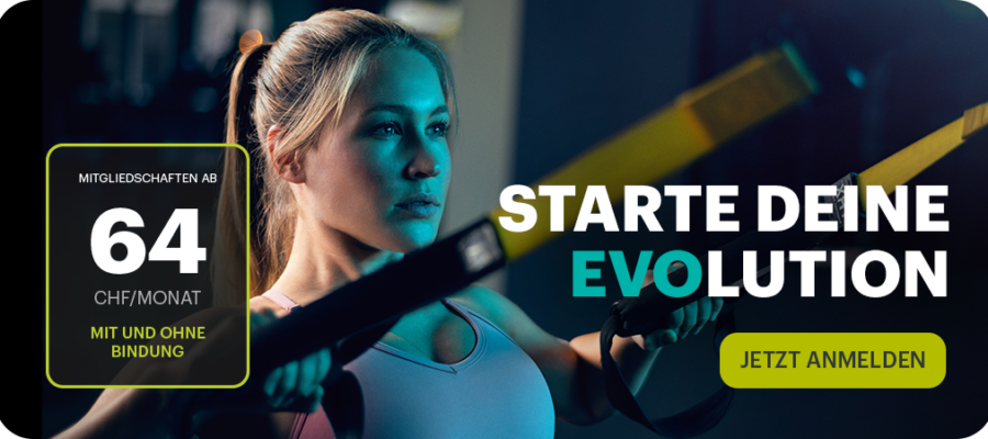 evo ch standard sales campaign blog de